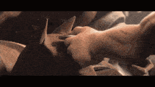 Reinhardt GIF