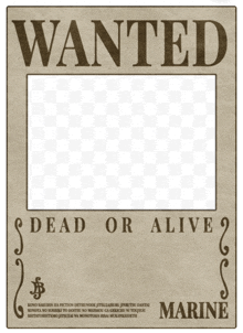 Wanted GIF