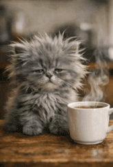 Roadhog coffee GIF